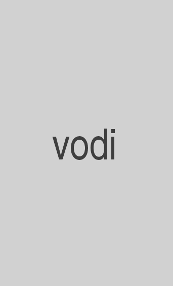 vodi movie poster
